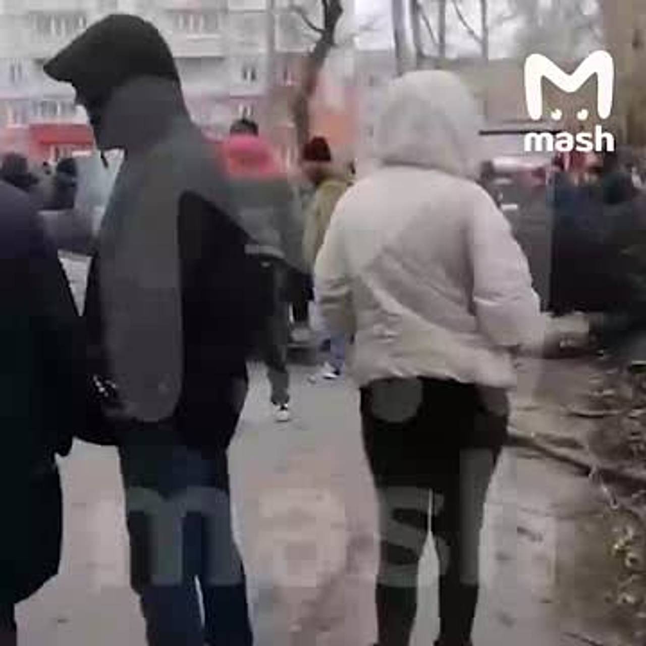 Дерево упало на машину с двумя россиянами в Новокузнецке: Происшествия:  Россия: Lenta.ru