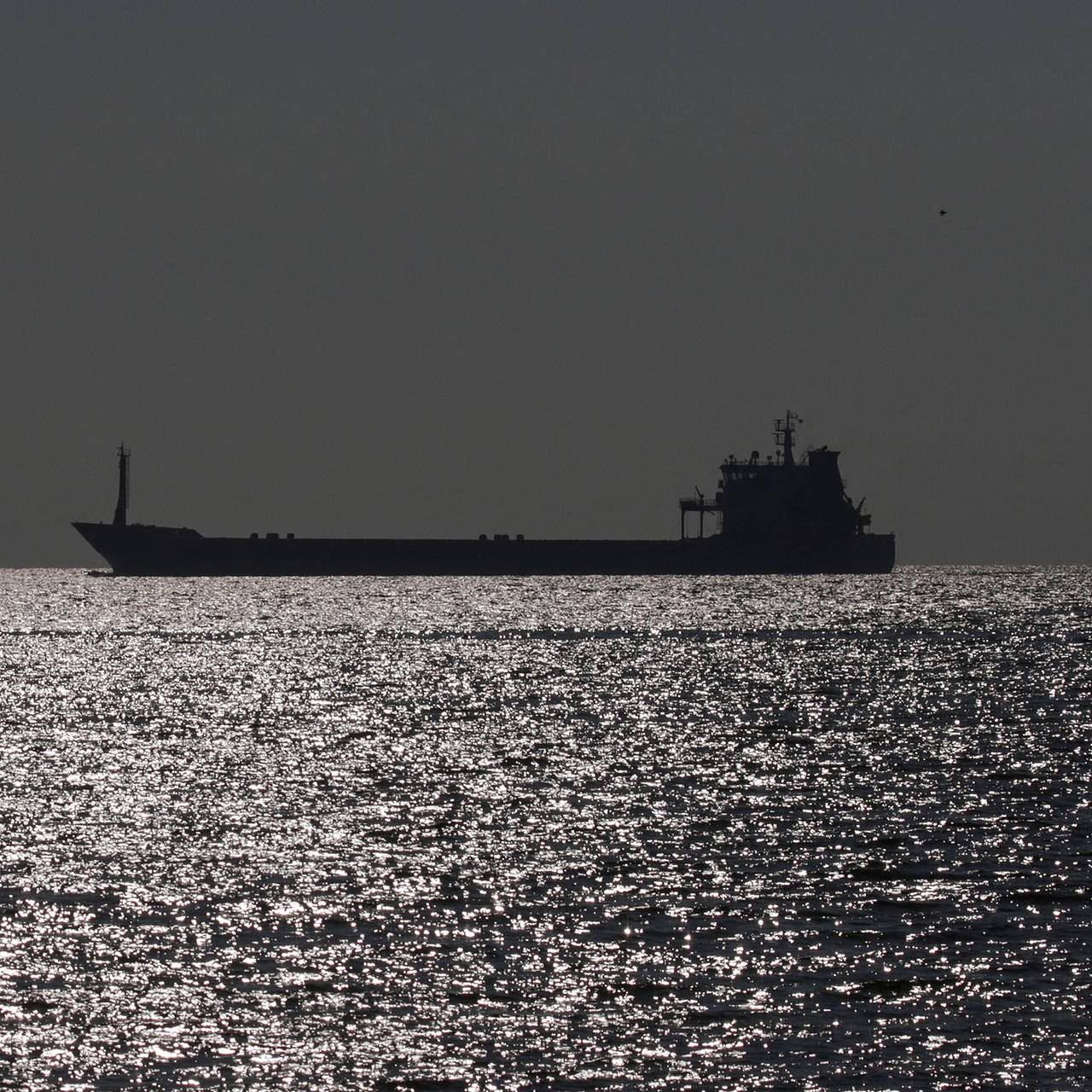 Фото: Serhii Smolientsev / Reuters