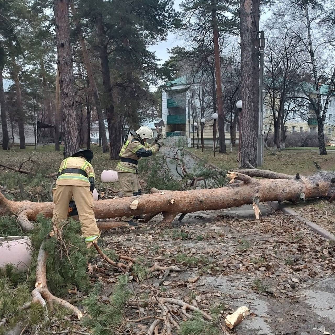 Полсотни тысяч россиян лишились света из-за непогоды: Дом: Среда обитания:  Lenta.ru