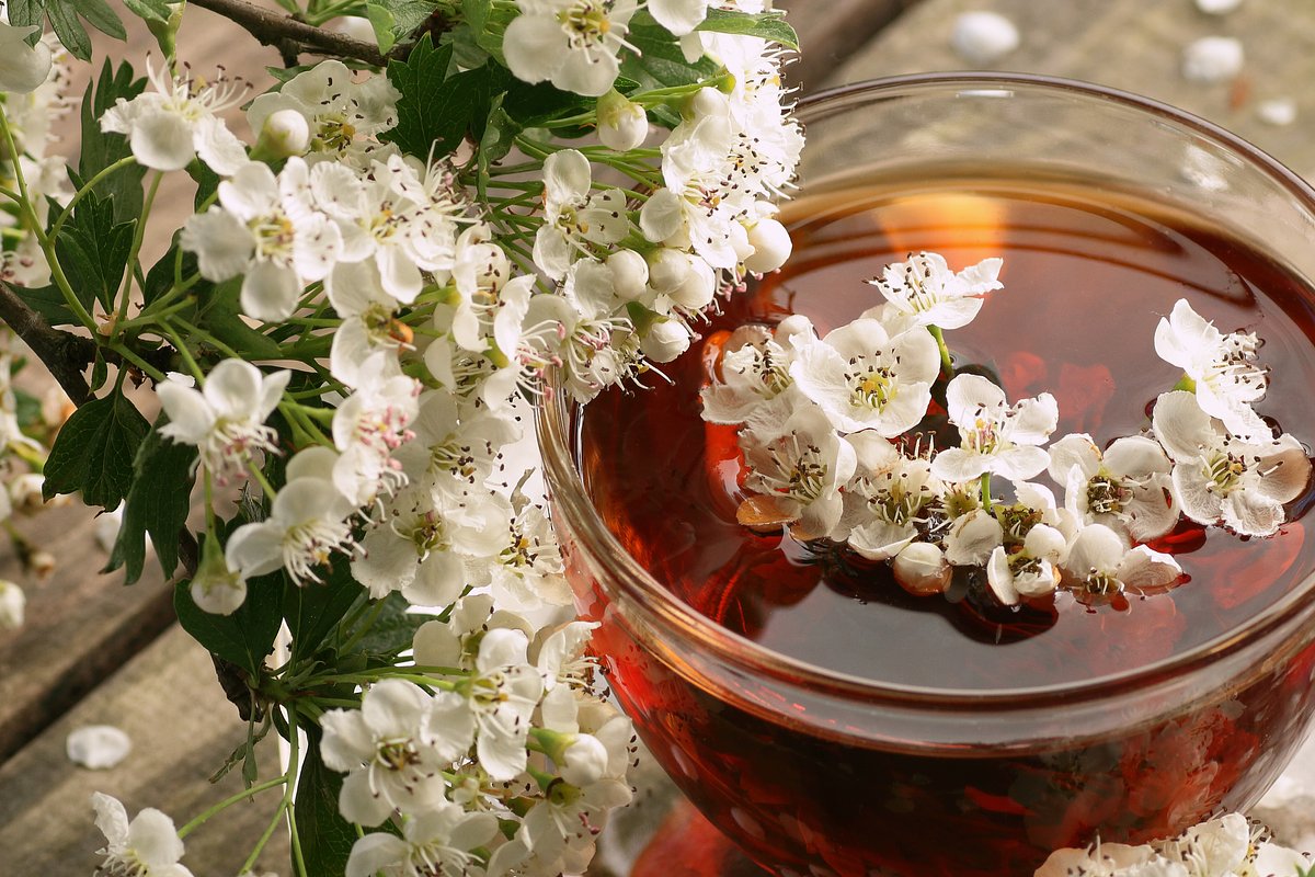 Чай с боярышником