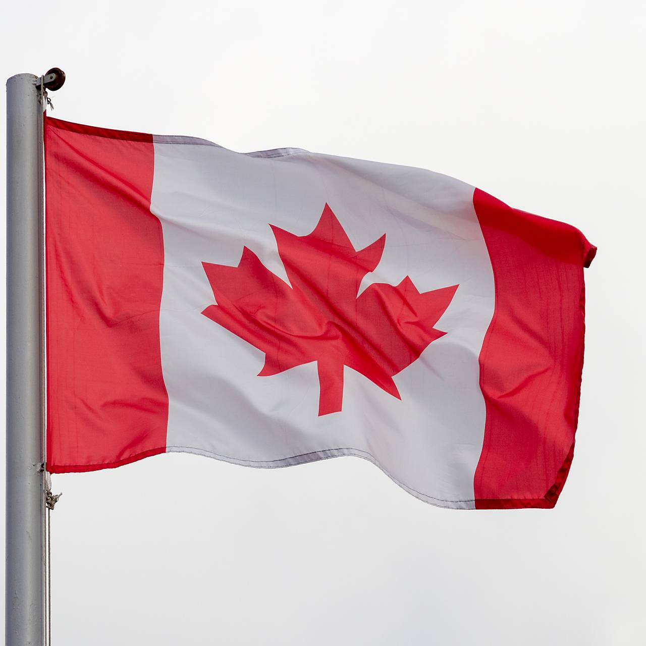 Фото: Ilya Galakhov / Global Look Press