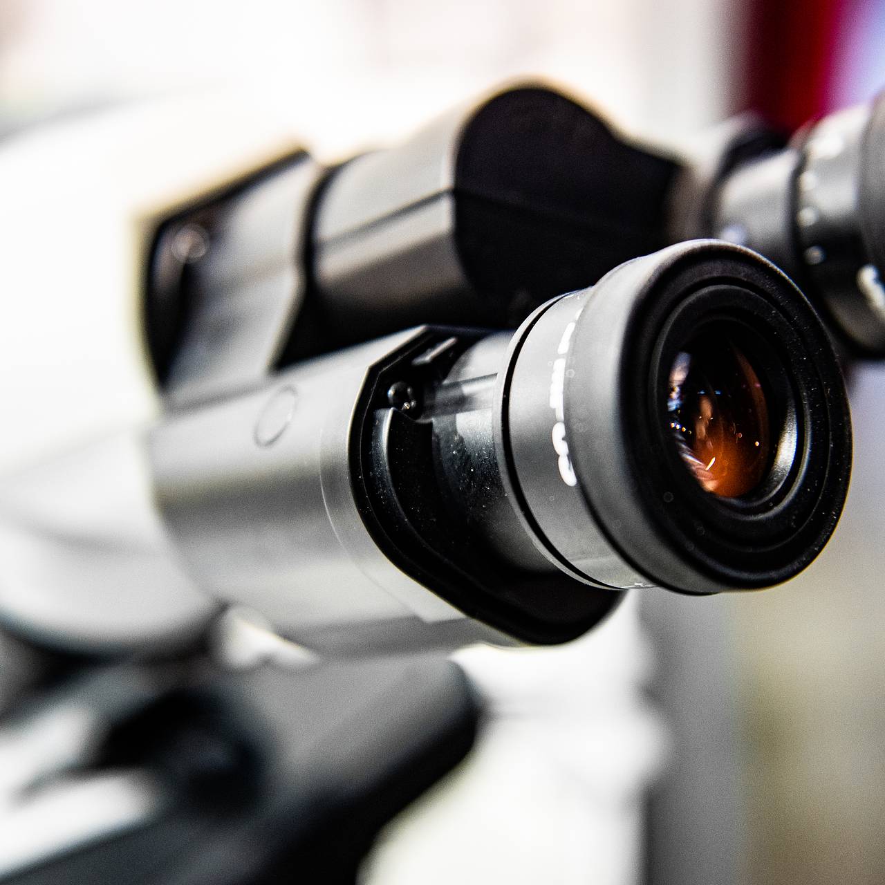 Фото: Анна Майорова / ТАСС