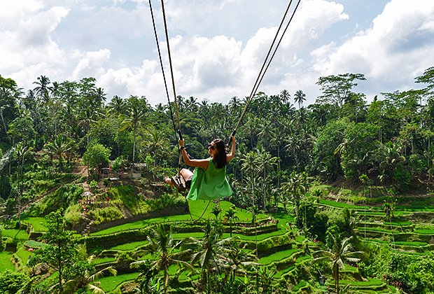 Bali swinging over Terrace rice fields in the morning, Ubud, Bali, Indonesia