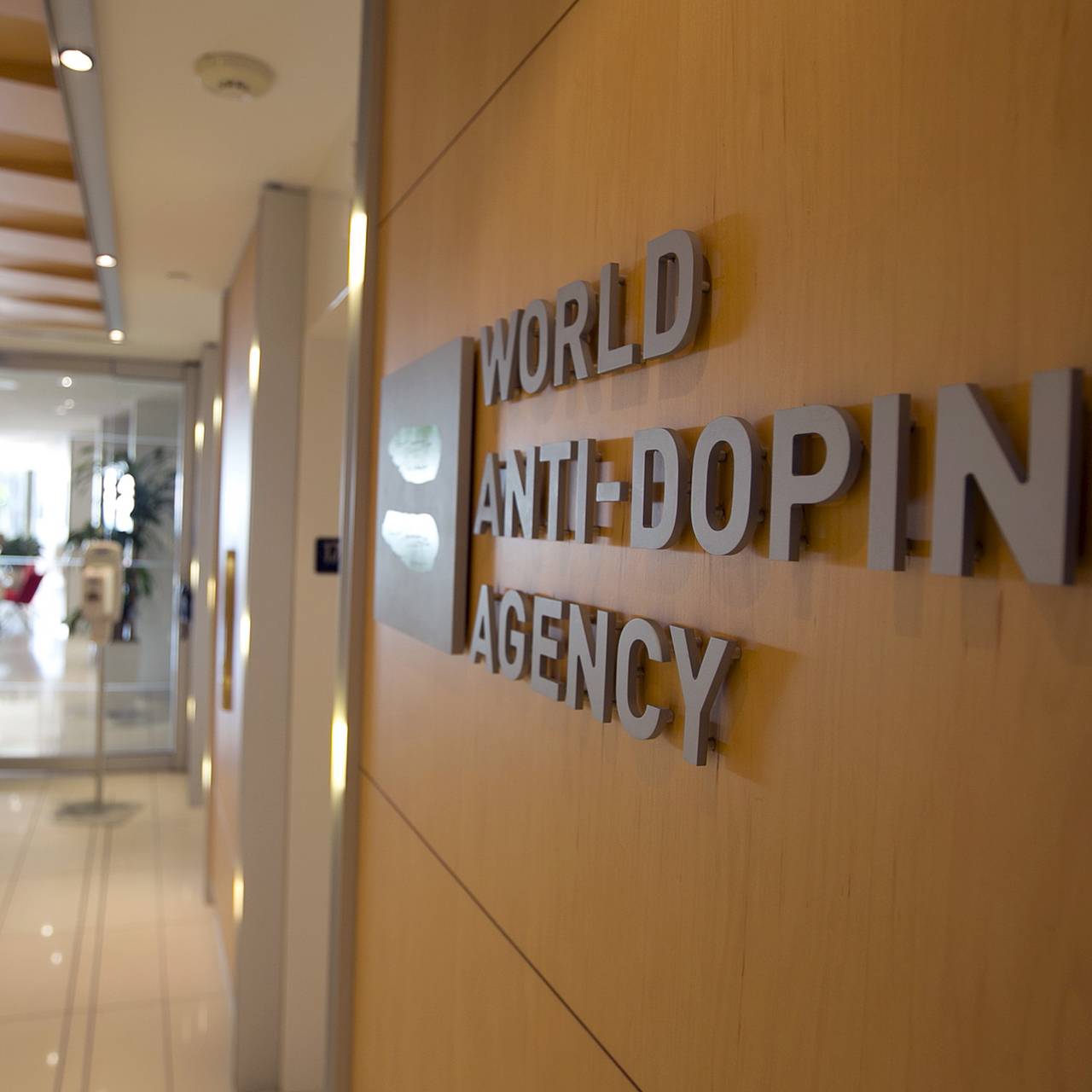 Фото: Christinne Muschi / Reuters