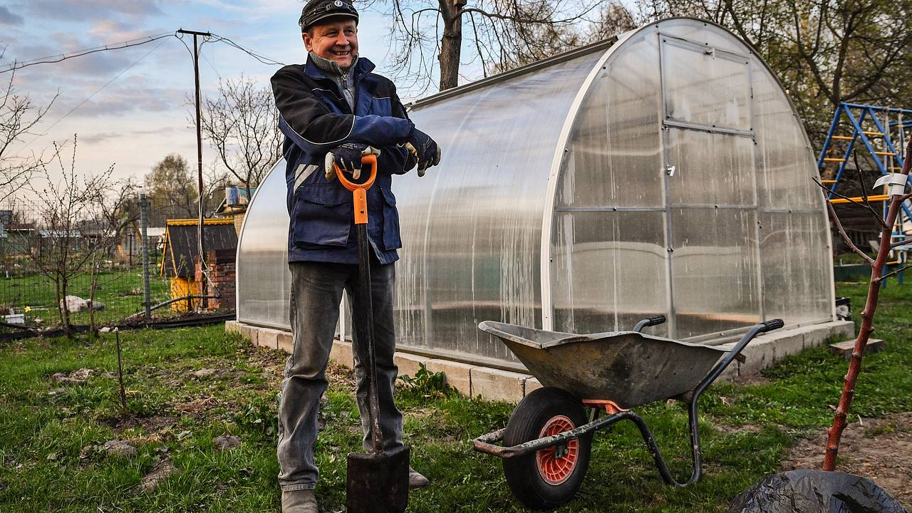 Дачникам назвали способ спасти теплицу от обрушения зимой: Дом: Среда  обитания: Lenta.ru