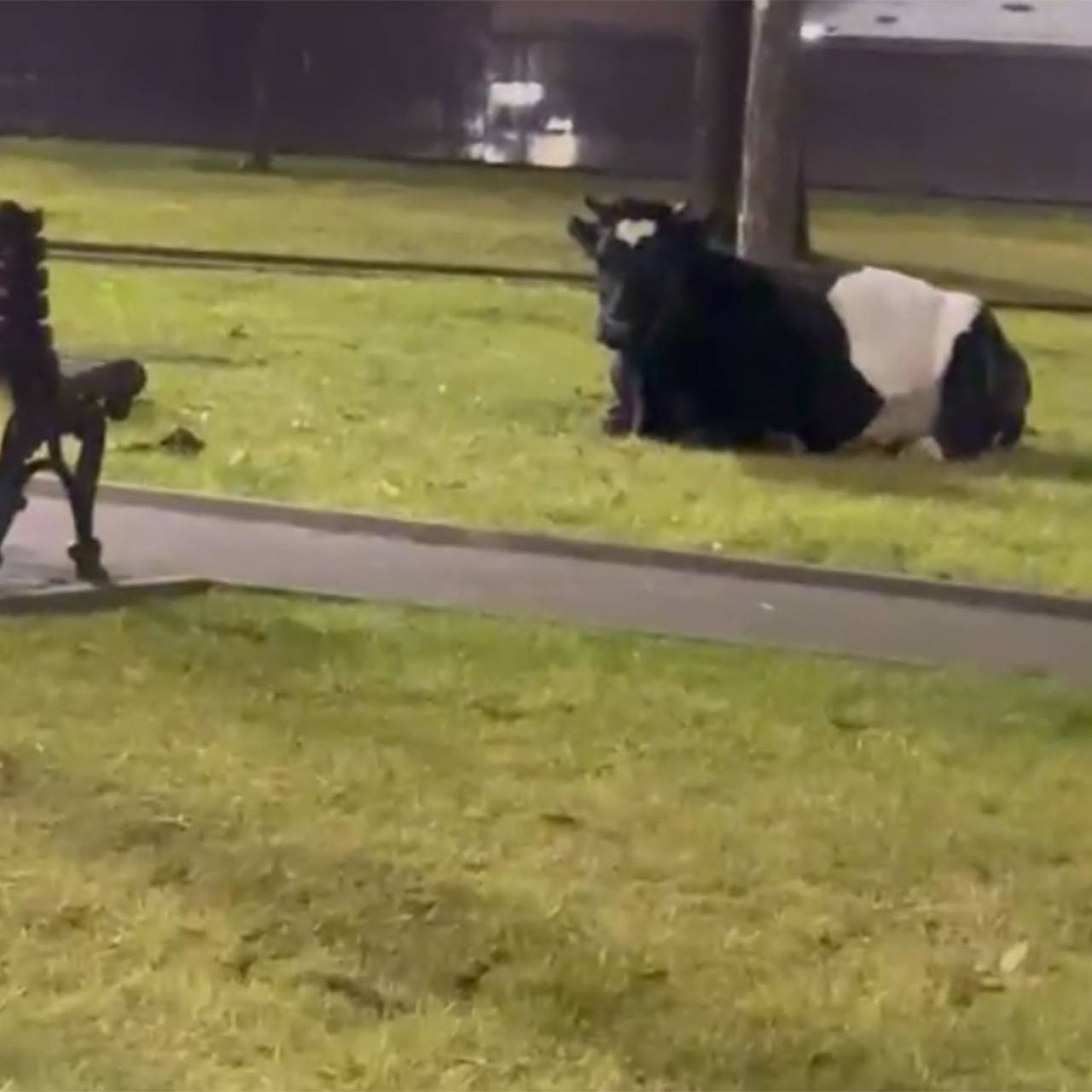 Кадр: Telegram-канал Евгения Моисеева