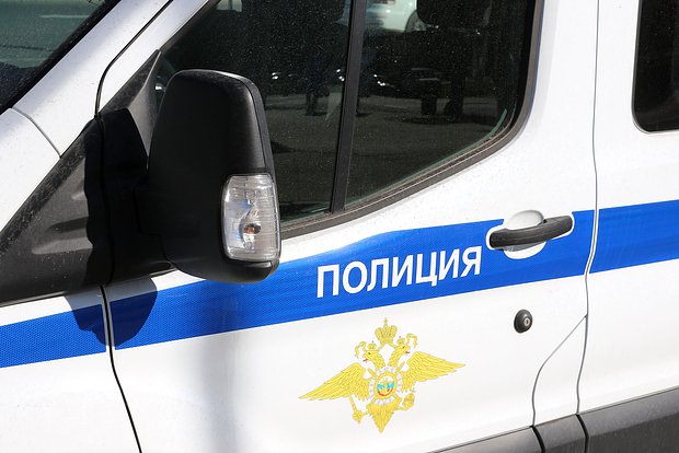 Вводная картинка