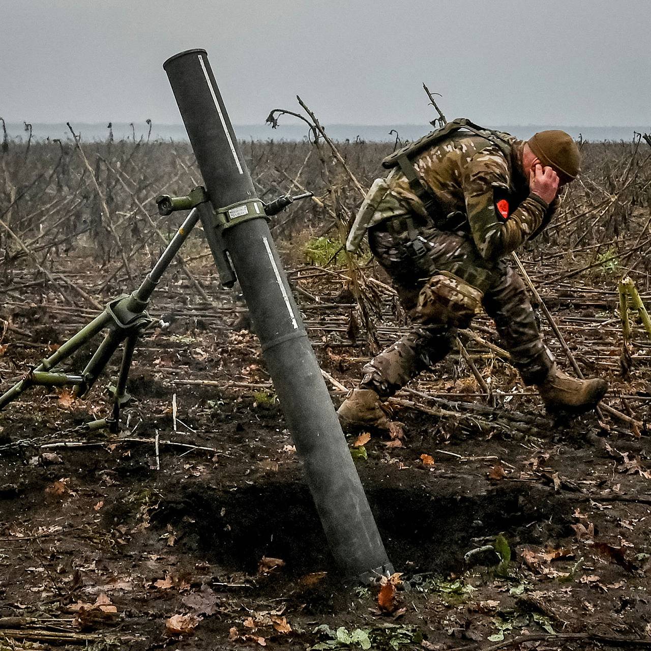 Давайте просто воевать» В Киеве рассказали, как с подачи Бориса Джонсона  отказались от мирного соглашения с Россией: Политика: Мир: Lenta.ru