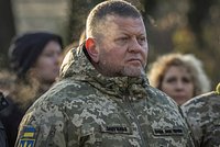«Не смог предоставить план замысла, ни большой, ни маленький» Украинский депутат призвала Залужного уйти в отставку 