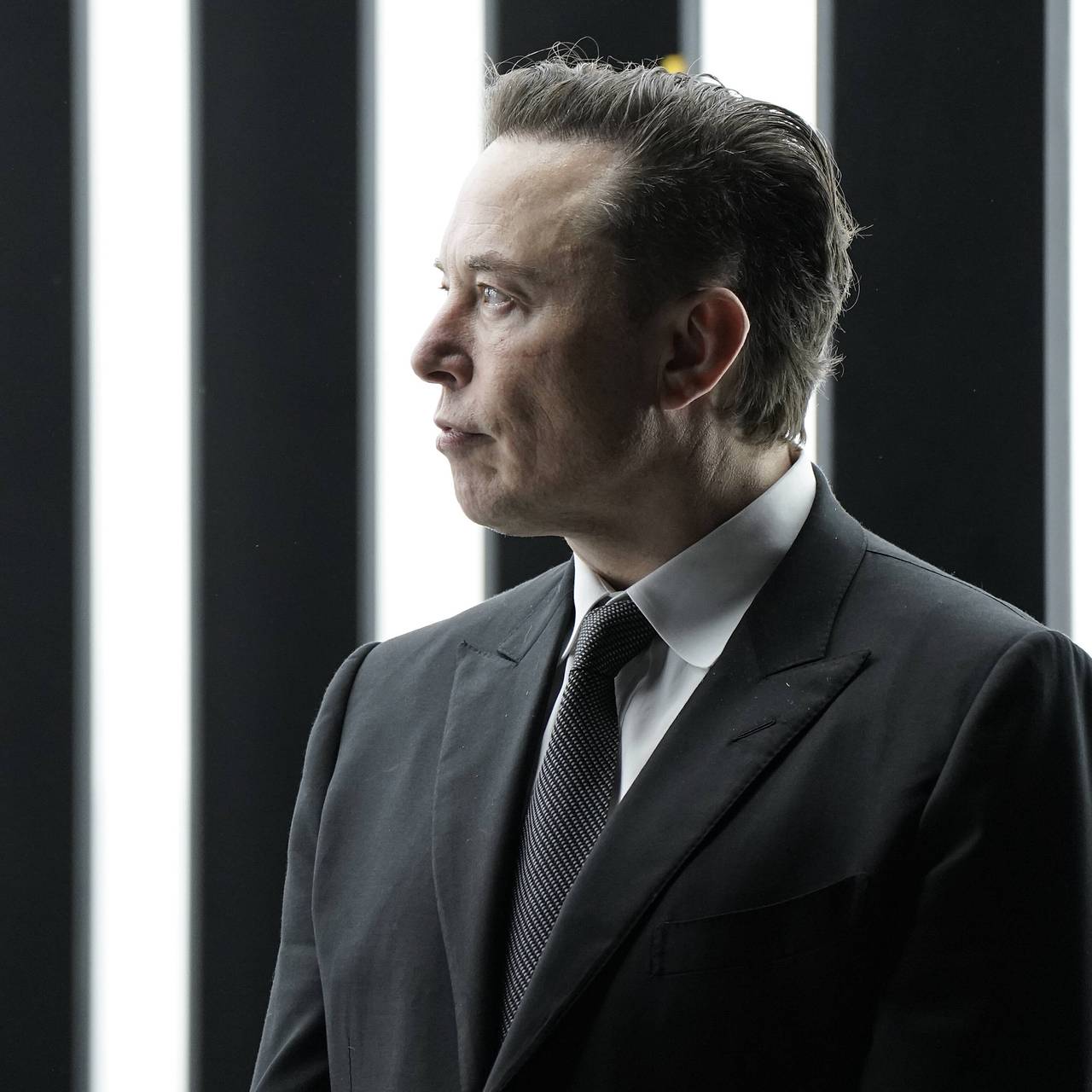 Илон Маск. Фото: Globallookpress.com