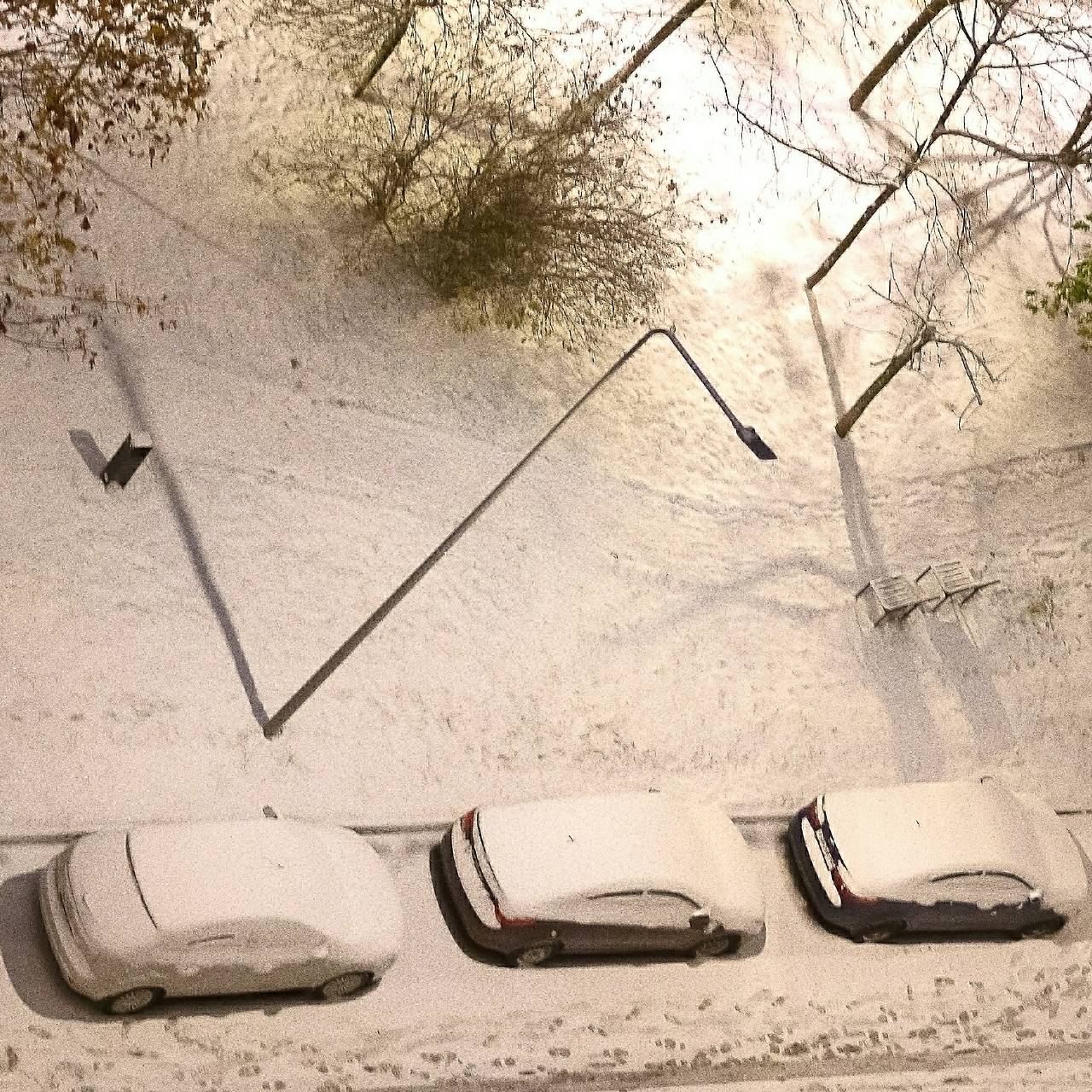 Фото: Roman Denisov / Globallookpress.com