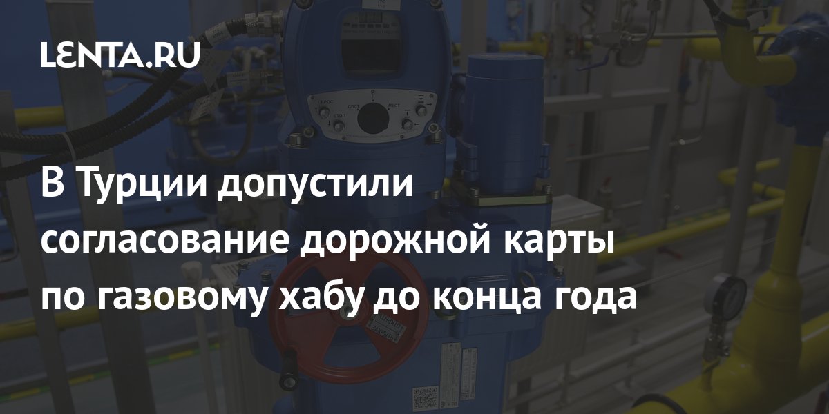 Turkey allowed approval of the gas hub roadmap by the end of the year