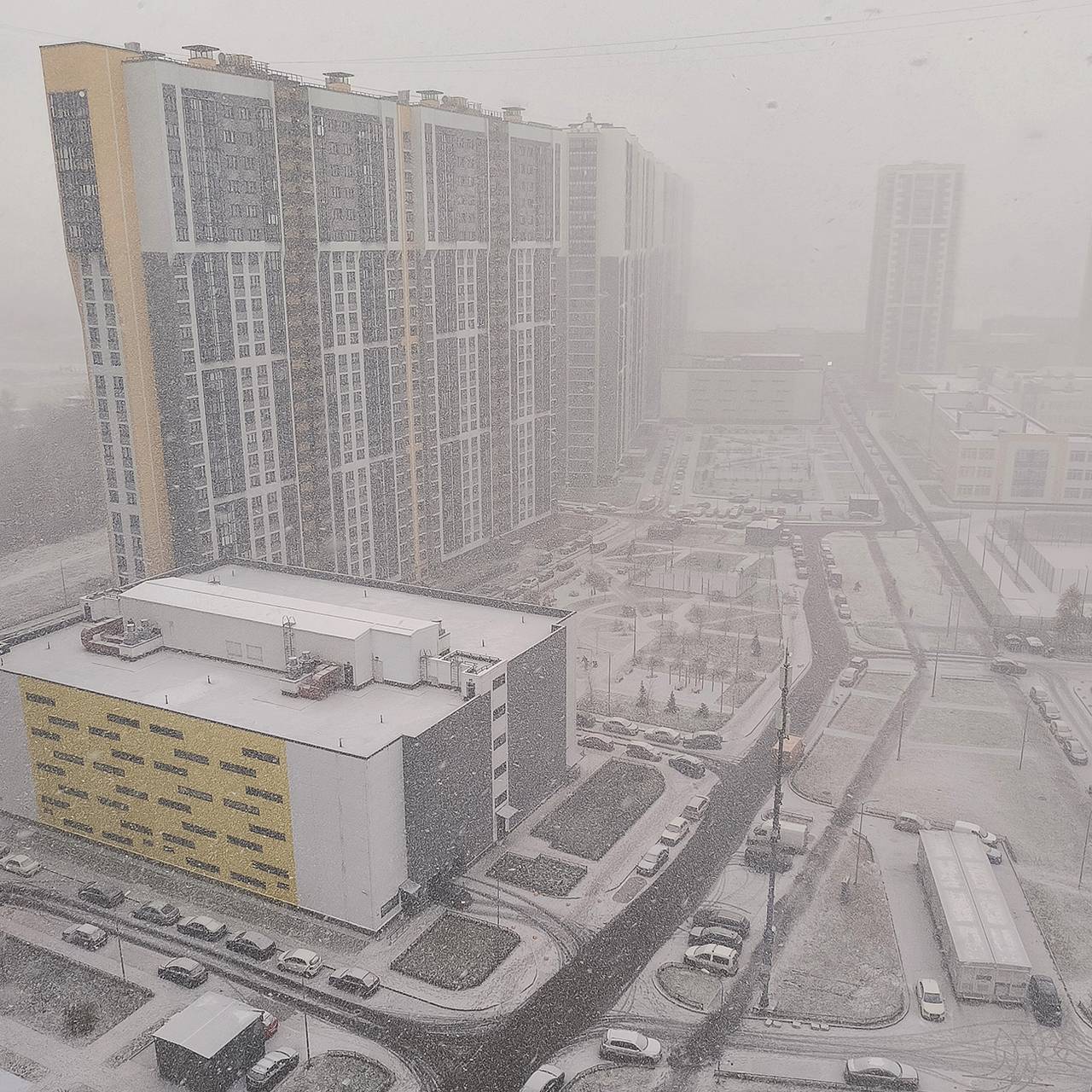 Фото: Максим Константинов / Globallookpress.com