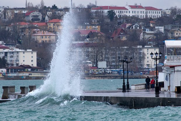 Вводная картинка