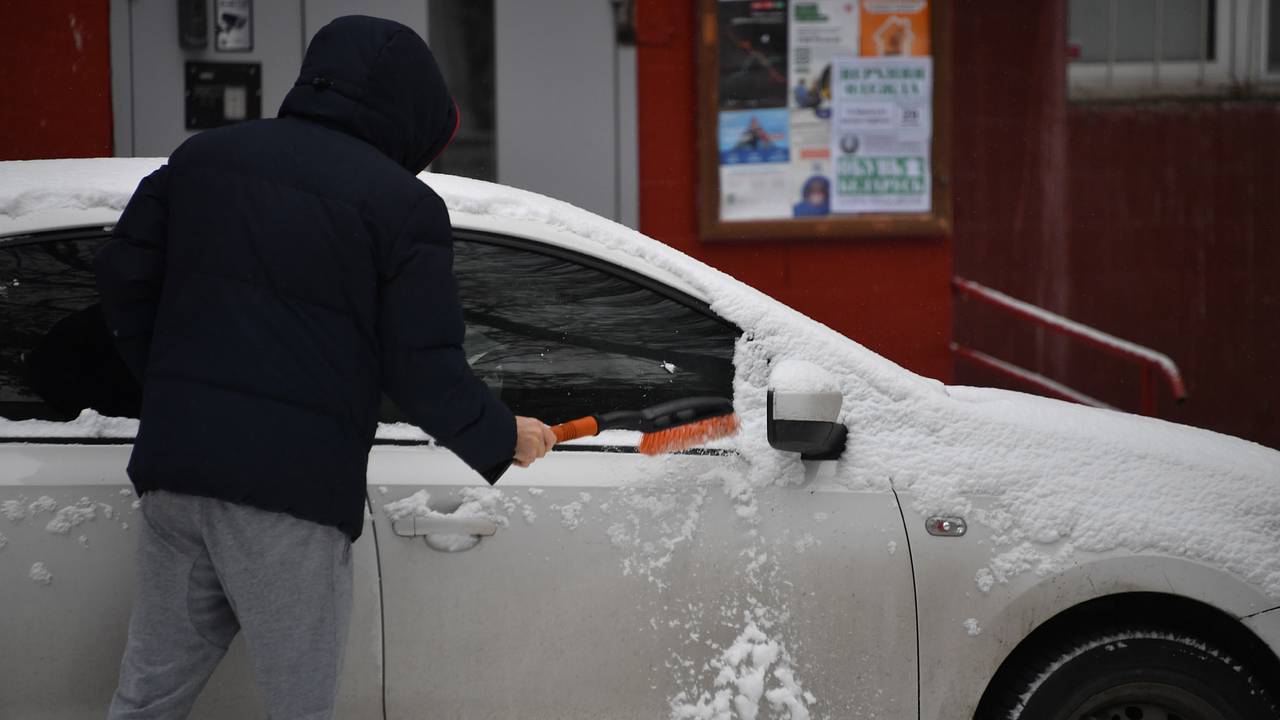 МВД предложило запретить нелегальным мигрантам водить машину и получать  права: Политика: Россия: Lenta.ru