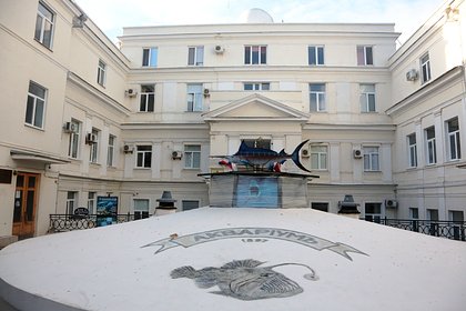 Назван возможный срок восстановления разрушенного музея-аквариума в Севастополе
