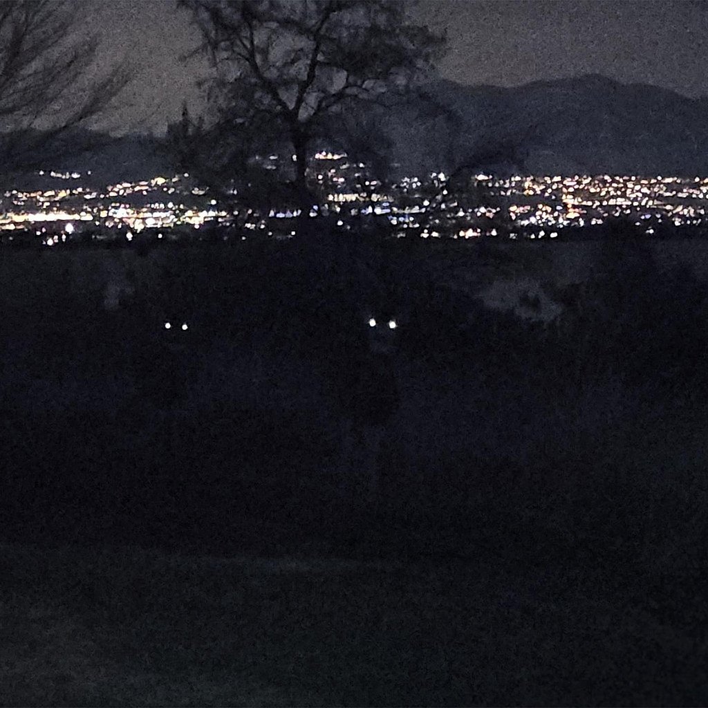 Иллюстрация к рассказу васюткино озеро тайга. Что так сильно испугало его ночью. Васюткино озеро рисунок. Пугливый человек. Что так сильно испугало его ночью.