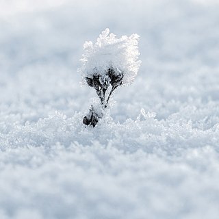 Снег на даче (62 фото)