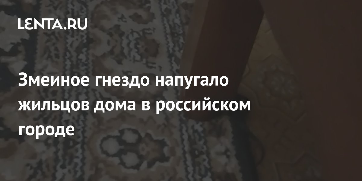 Змеиное гнездо в своем доме обнаружил житель Краснодарского края