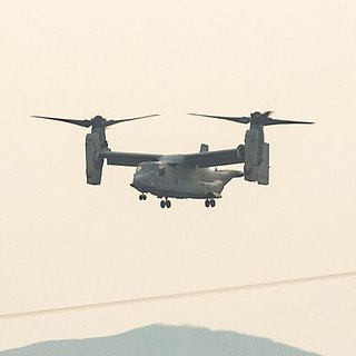        Osprey  