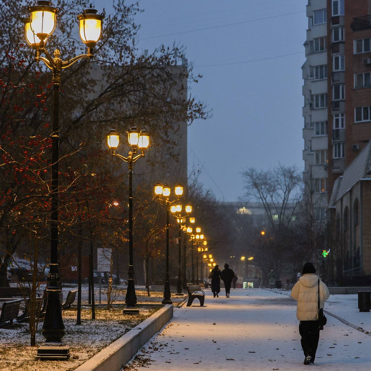 Фото: Екатерина Якель / «Лента.ру»