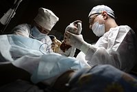 «Не спали ни одной ночи» Российские хирурги спасают жизни людей в зоне СВО. Что они увидели в Донбассе?