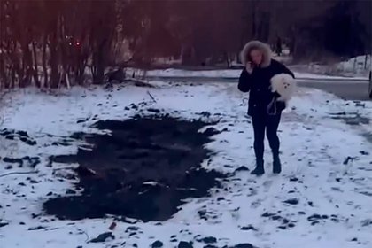 В российском городе коммунальщики замуровали собаку во время ремонта трубы