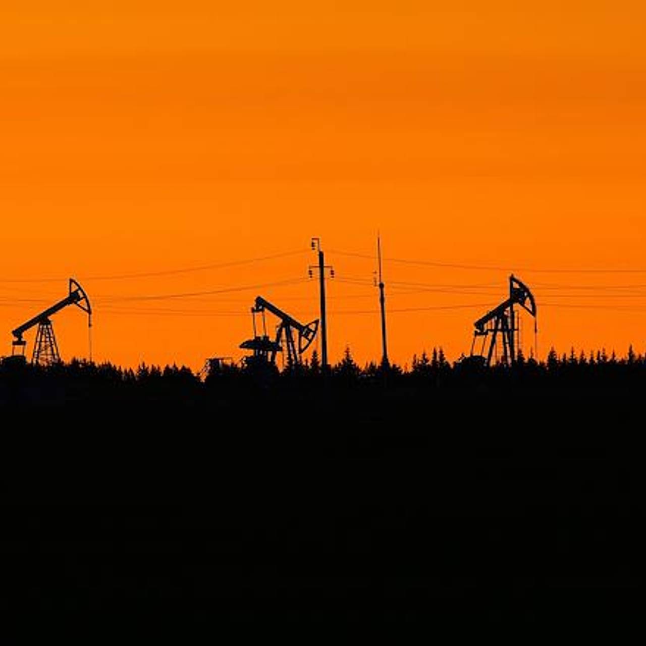 Фото: Александр Манзюк / Коммерсантъ