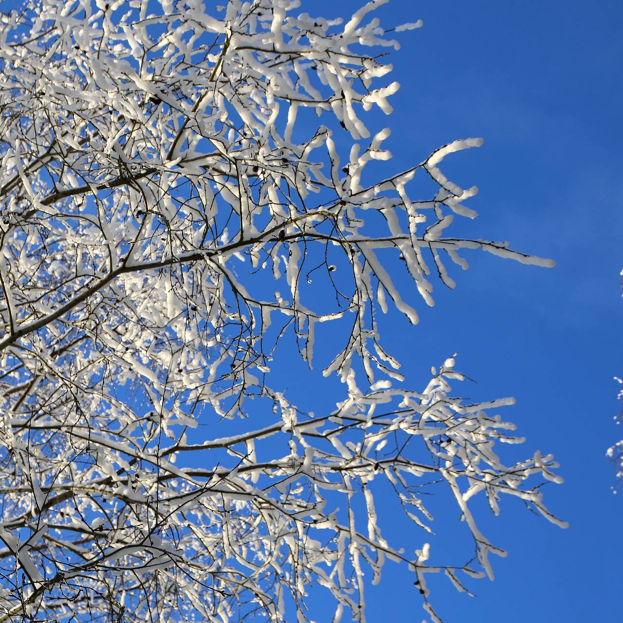 Фото: Maksim Konstantinov / Global Look Press