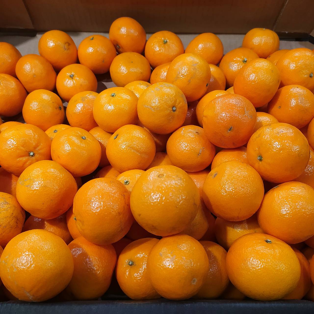 Фото: Maksim Konstantinov / Global Look Press