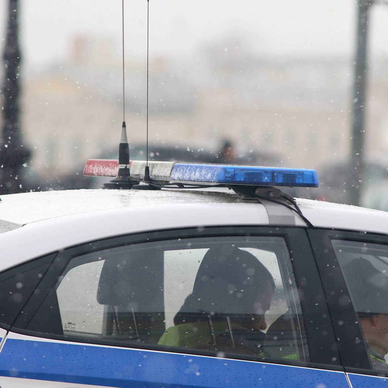 Фото: Maksim Konstantinov / Globallookpress.com