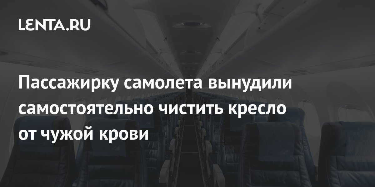 Пассажирку самолета вынудили самостоятельно чистить кресло от чужой ...