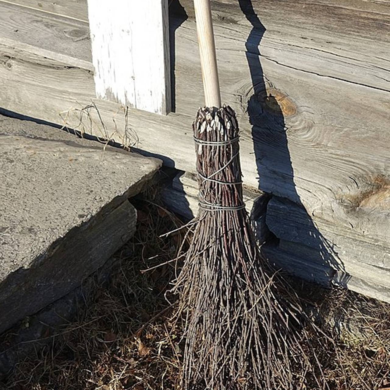 Фото: Wolfmann / Wikimedia