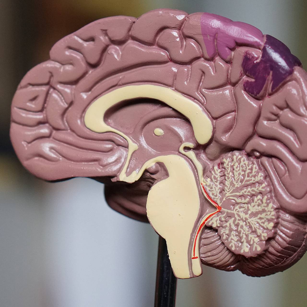 Фото:  Robina Weermeijer / Unsplash