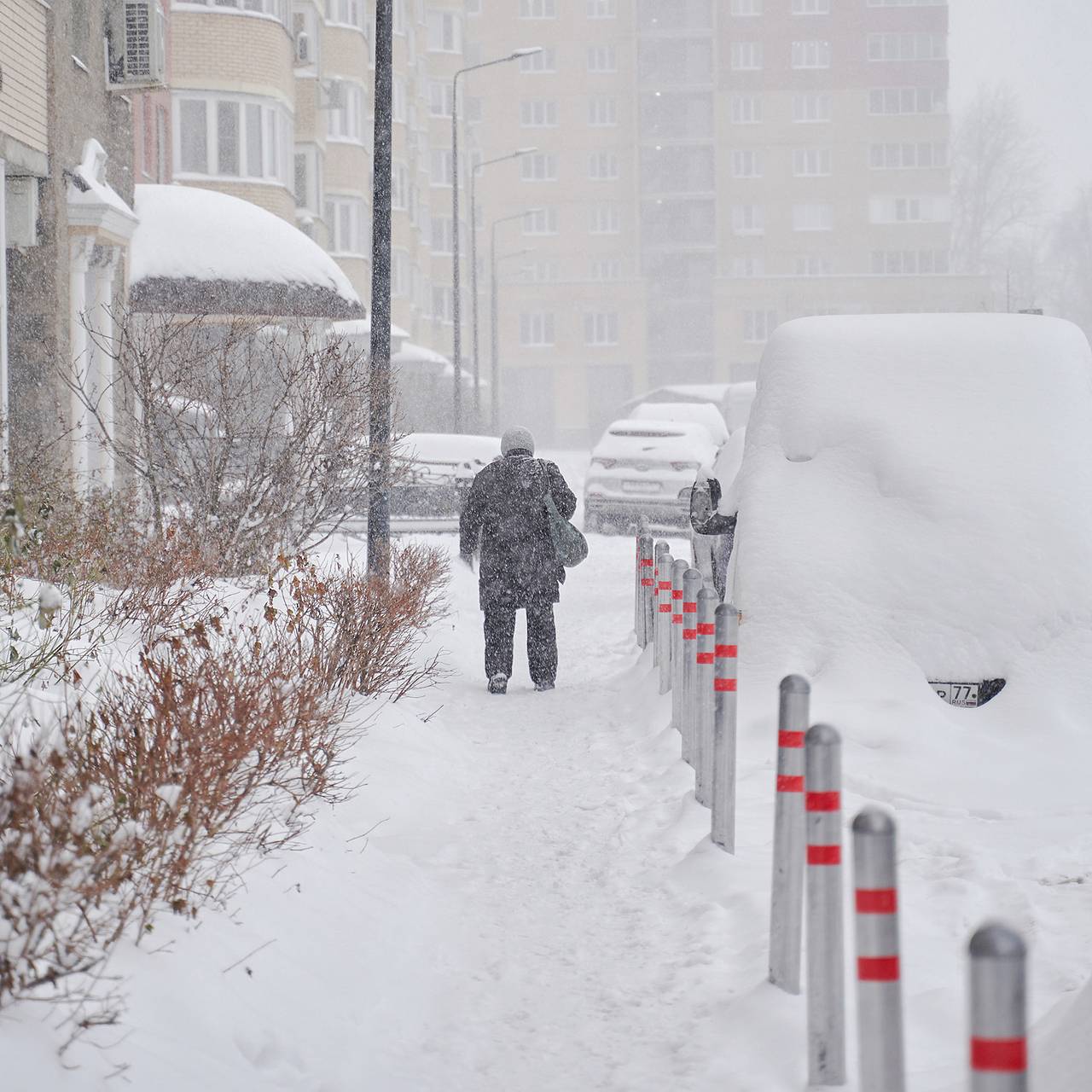 Фото: Патимат Амирбекова / «Лента.ру»
