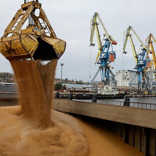 Объемы вывоза украинского зерна рухнули