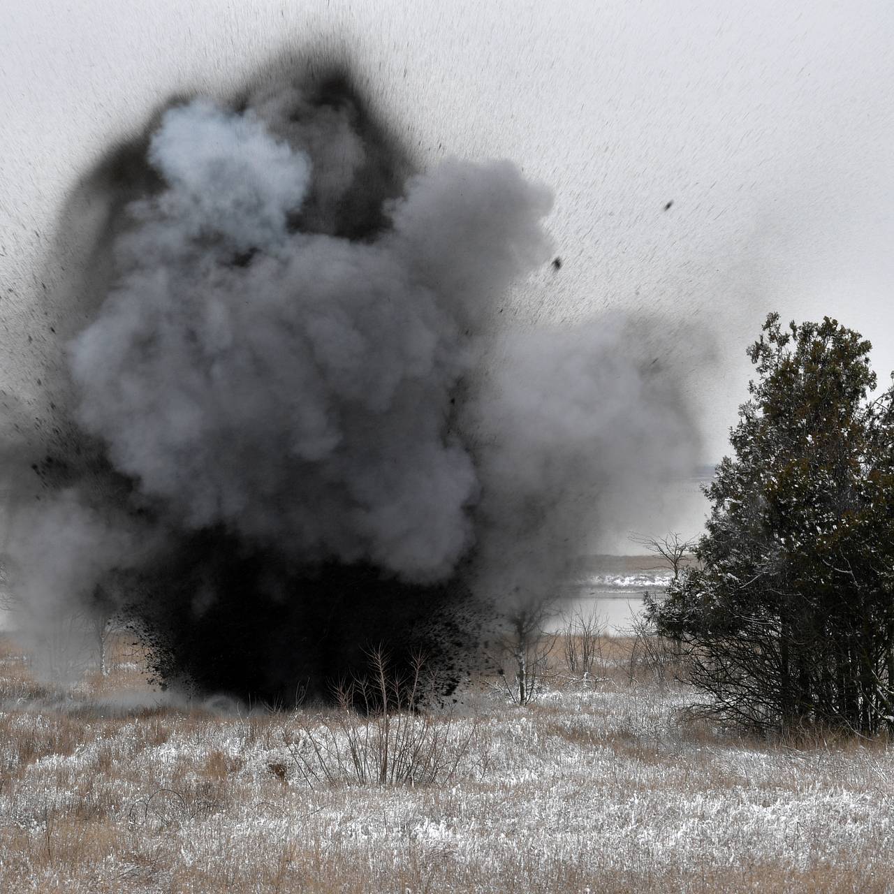 Фото: Александр Гальперин / РИА Новости