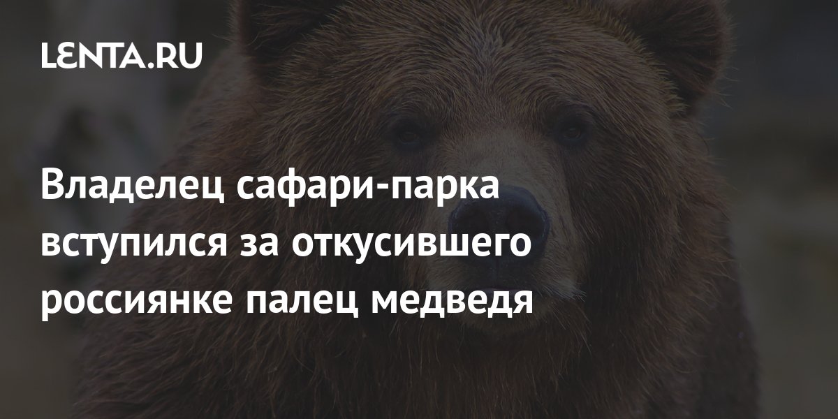 Владелец сафари-парка вступился за откусившего россиянке палец медведя