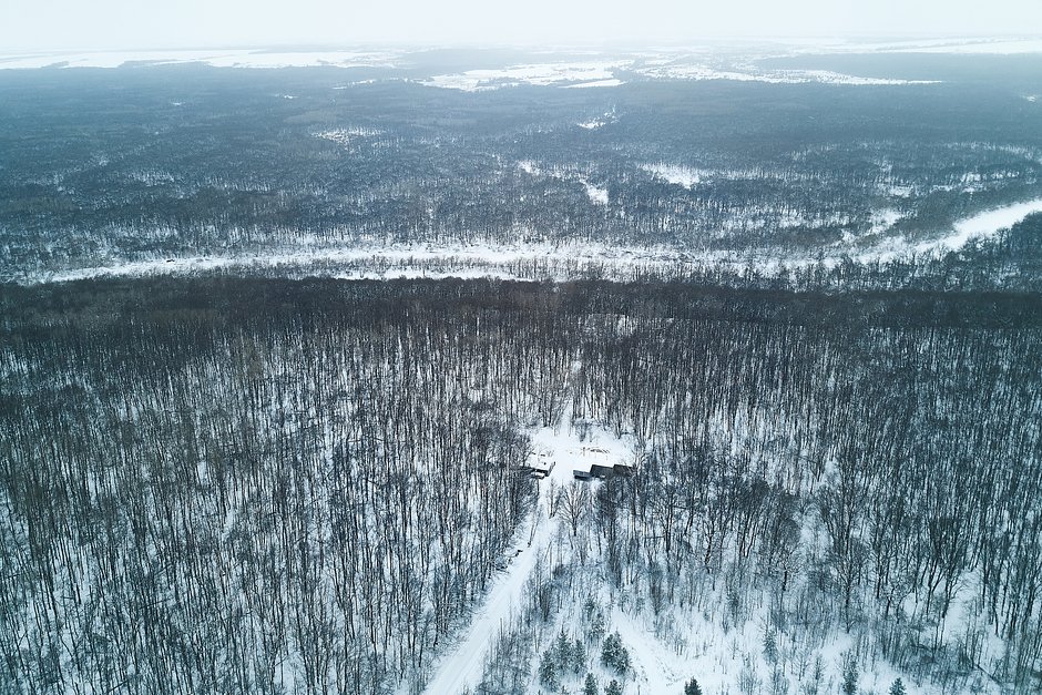 «Квебеково». Площадь кленового леса в Бековском районе — 250 гектаров. К сокопроводам подключено более 30 тыс. деревьев. Они растут на черноземе, поэтому сок насыщен минералами