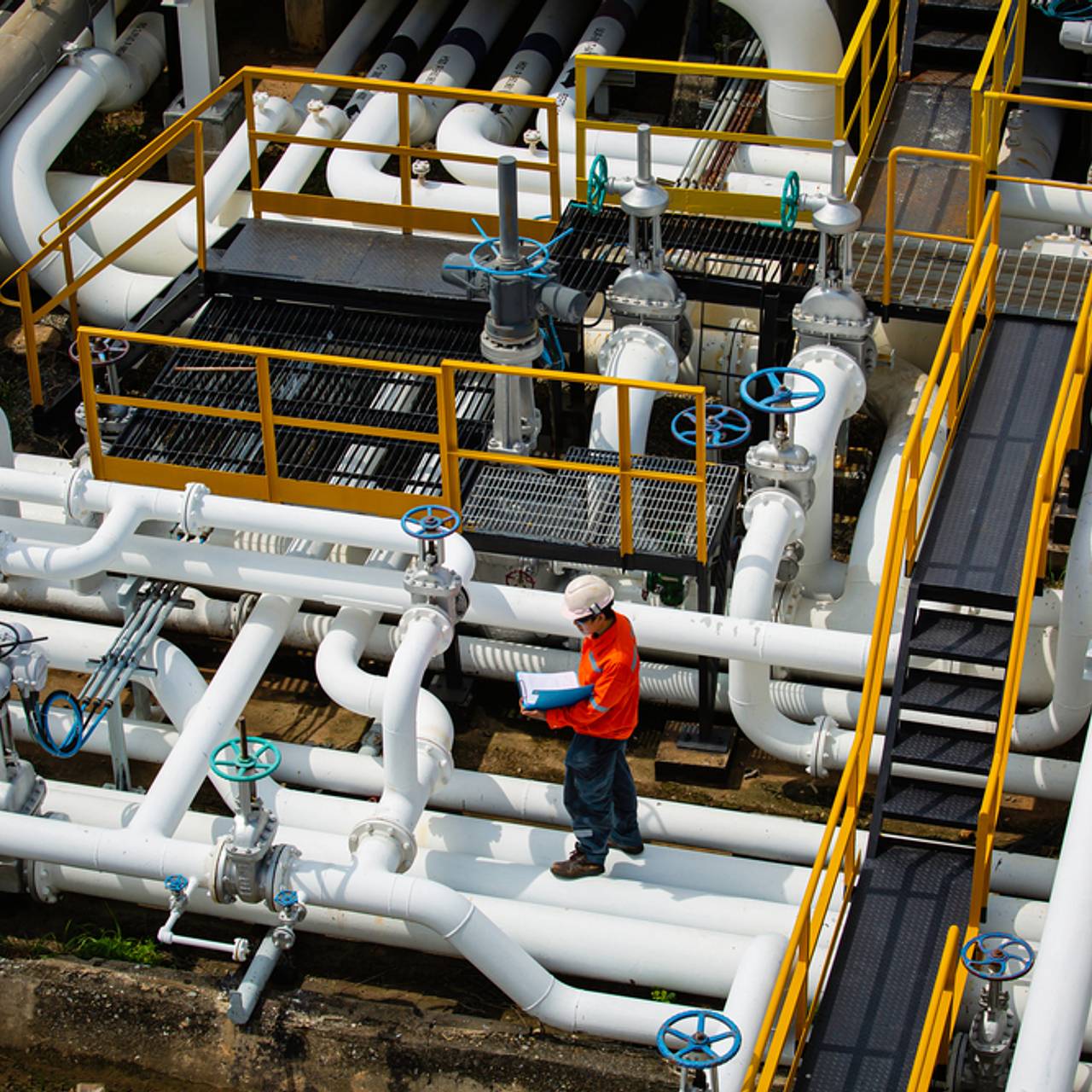 Фото: noomcpk / Shutterstock / Fotodom