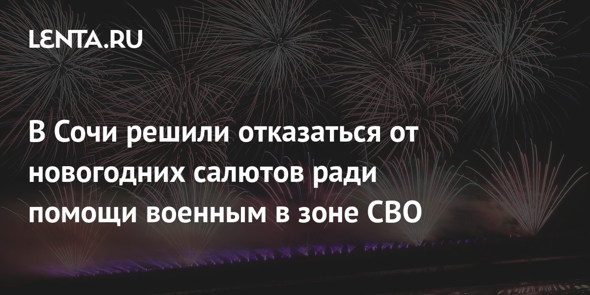 В Сочи решили отказаться от новогодних салютов ради помощи военным в зоне СВО