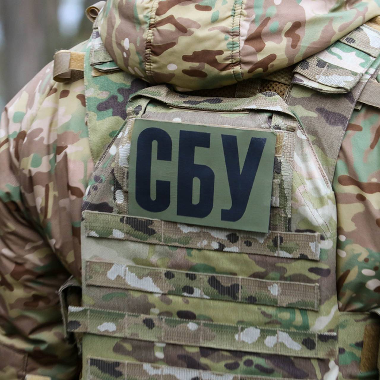 Фото: Lina Reshetnyk / Shutterstock / Fotodom