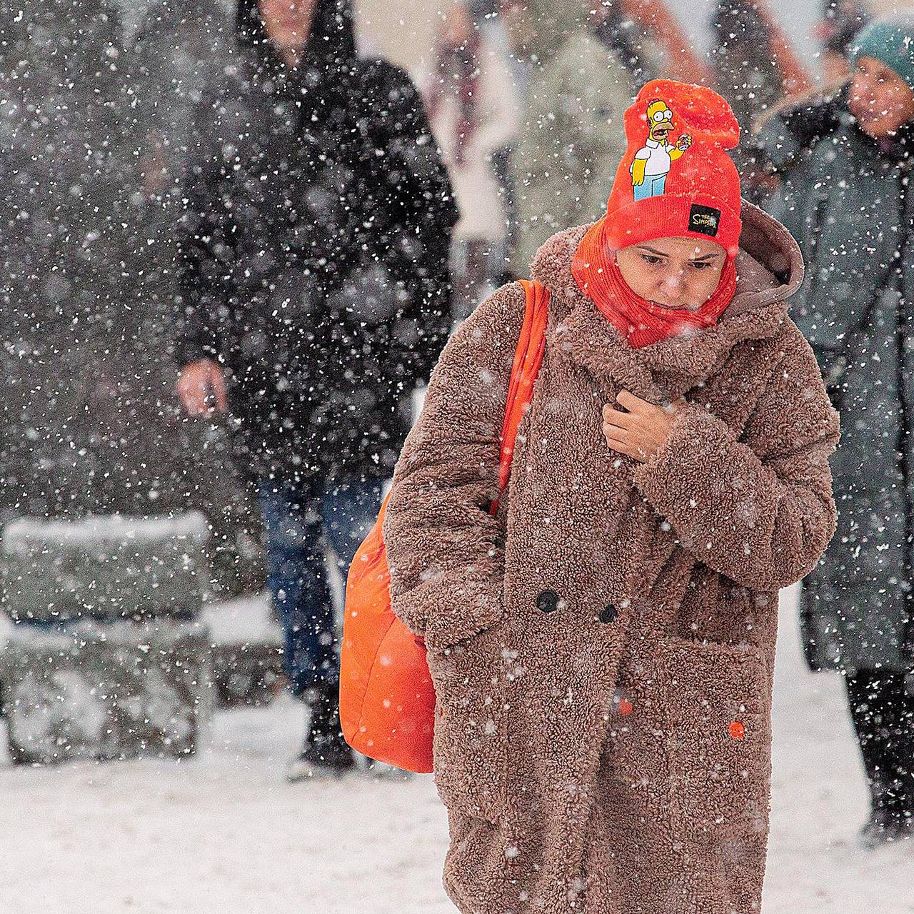 Фото: Артем Пряхин / Коммерсантъ