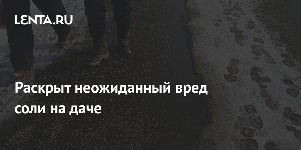 Раскрыт неожиданный вред соли на даче: Дом: Среда обитания: Lenta.ru
