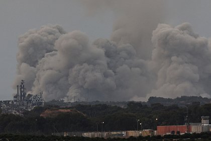 В ХАМАС заявили о занижении Израилем числа потерь в секторе Газа