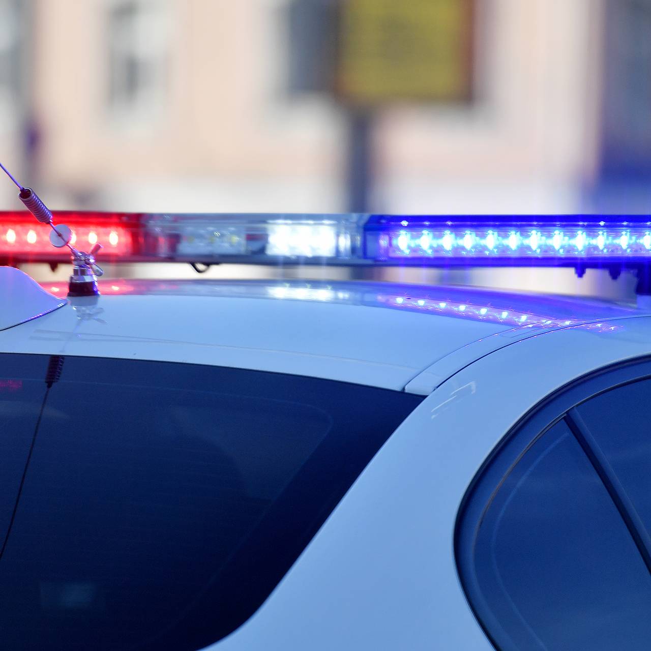 Фото: Vladimir Baranov / Globallook Press