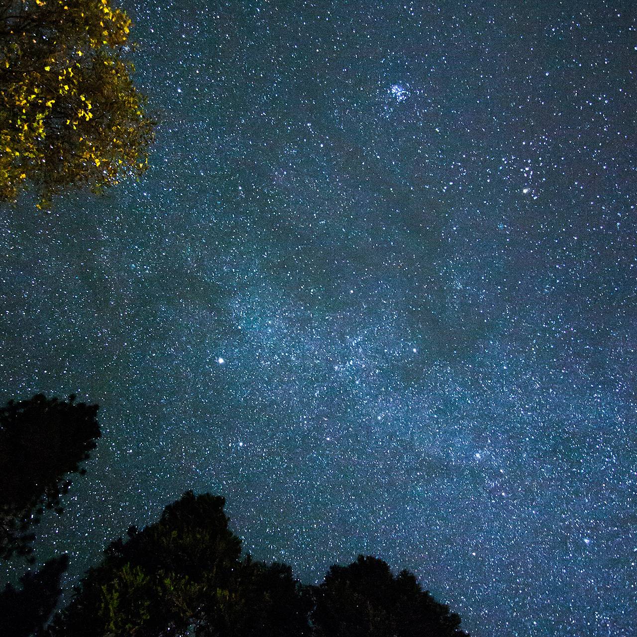 Фото: Taylor Leopold / Unsplash