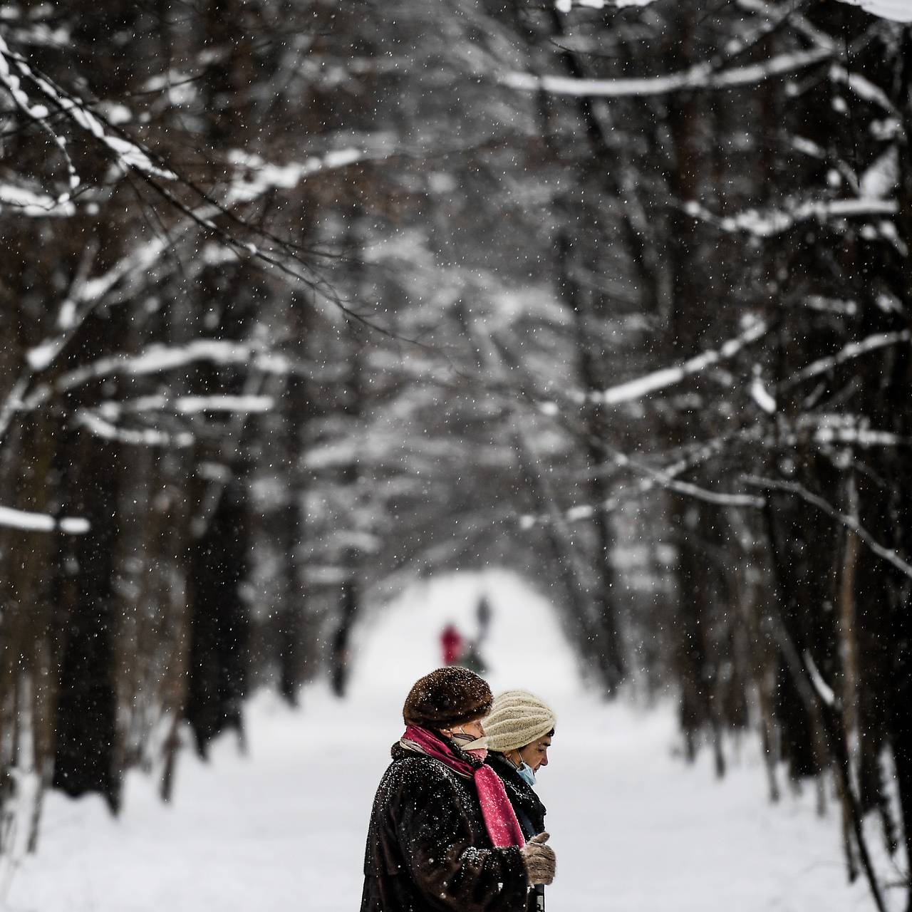 Фото: Владимир Астапкович / РИА Новости