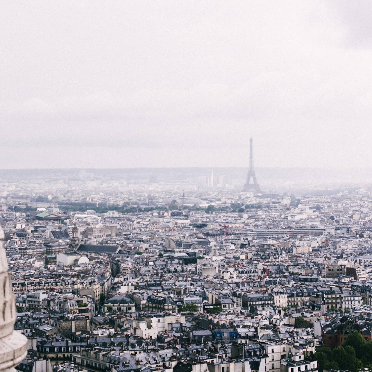 Фото: Alice Donovan Rouse / Unsplash