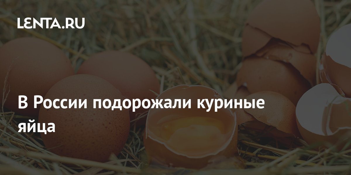 Chicken eggs have more expensive in Russia Pledge Times